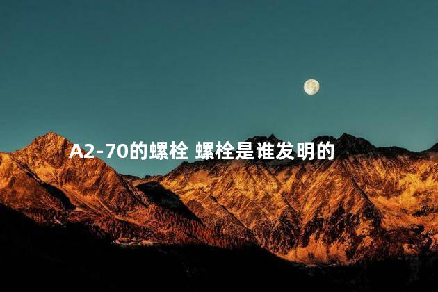 A2-70的螺栓 螺栓是谁发明的